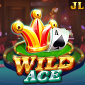 AH33 Wild Ace slot